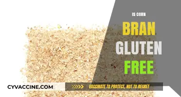 Exploring the Gluten-Free Status of Corn Bran: A Comprehensive Guide
