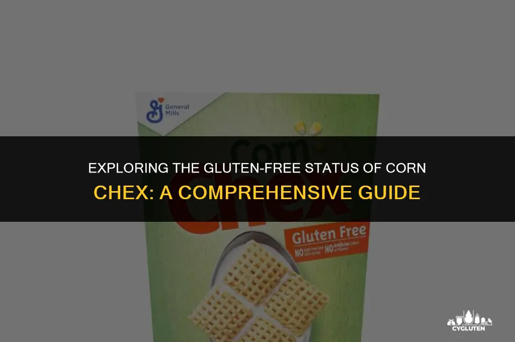 is corn checx gluten free