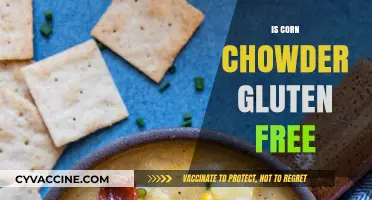 Is Corn Chowder Gluten-Free? A Complete Guide to Ingredients and Preparation