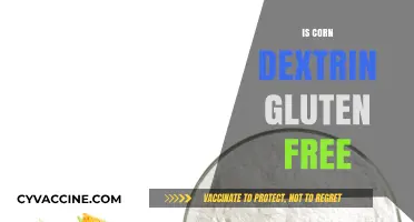 Exploring the Gluten-Free Status of Corn Dextrin: Facts and Myths