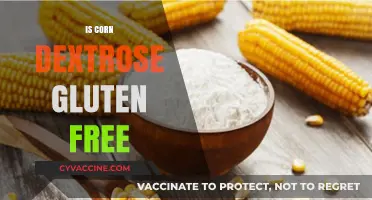 Exploring the Gluten-Free Status of Corn Dextrose
