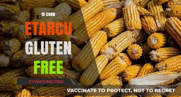 Exploring the Gluten-Free Status of Corn Ethanol: Facts and Myths