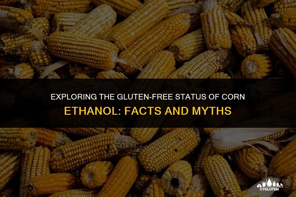 is corn etarcu gluten free