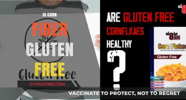 Exploring the Gluten-Free Status of Corn Fiber: A Comprehensive Guide