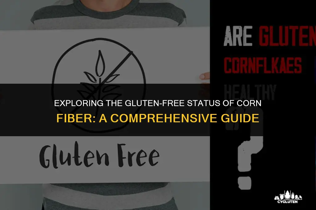 is corn fiber gluten free