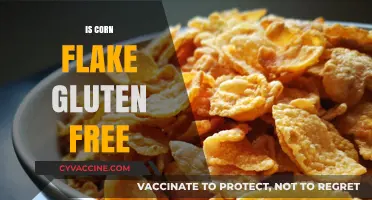 Crunchy Corn Flakes: A Gluten-Free Breakfast Delight or Not?
