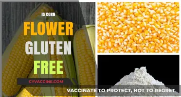 Exploring Gluten-Free Options: Is Cornflower the Answer?