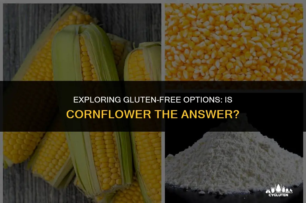 is corn flower gluten free