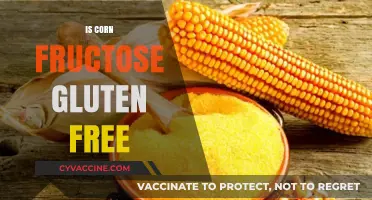 Exploring the Gluten-Free Status of Corn Fructose: A Comprehensive Guide