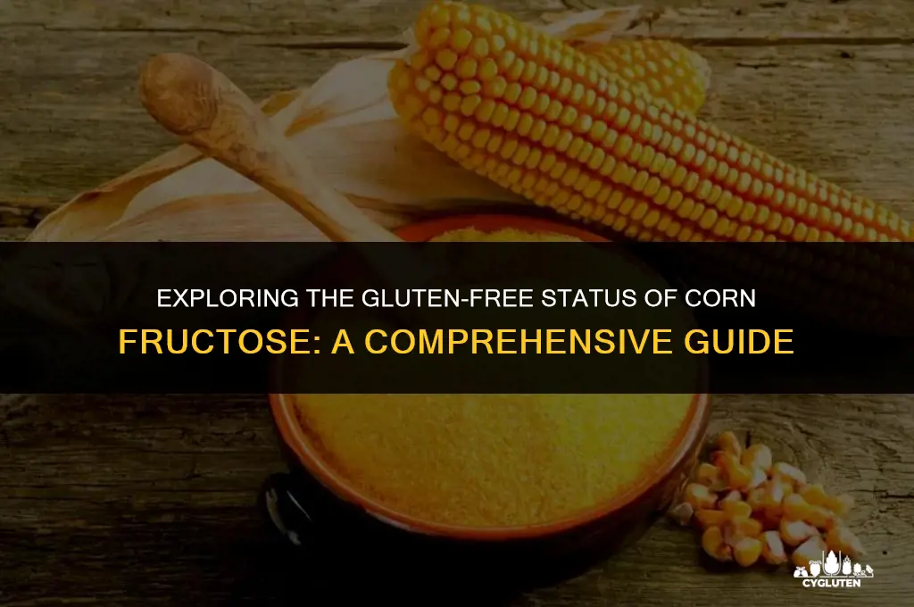 is corn fructose gluten free