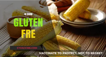 Is Corn Gluten-Free? Unraveling the Truth for Celiac Diets