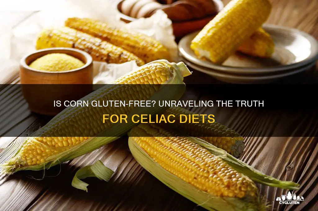 is corn gluten fre