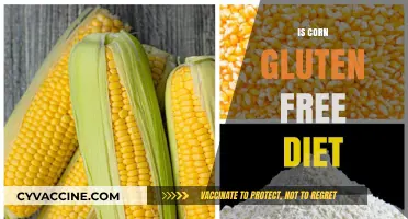 Exploring the Corn Conundrum: Is It Gluten-Free or Not?