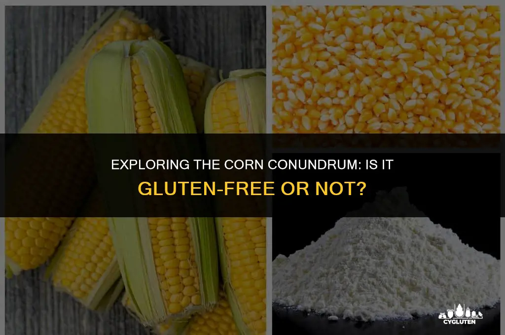 is corn gluten free diet
