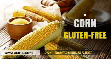 Is Corn Gluten-Free? Unraveling the Truth for Celiac Diets