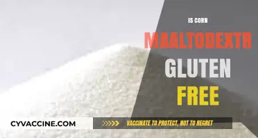 Exploring the Gluten-Free Status of Corn Maltodextrin