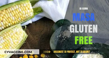 Is Corn Masa Gluten-Free? Unraveling the Truth for Celiac Diets