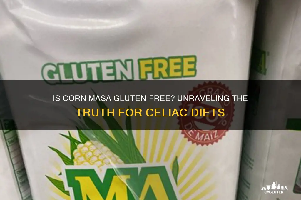 is corn masa gluten free