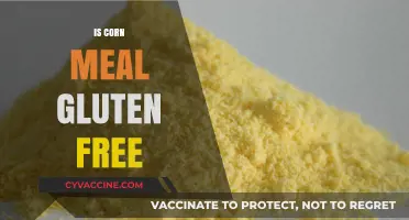 Is Cornmeal Gluten-Free? A Complete Guide to Safe Consumption