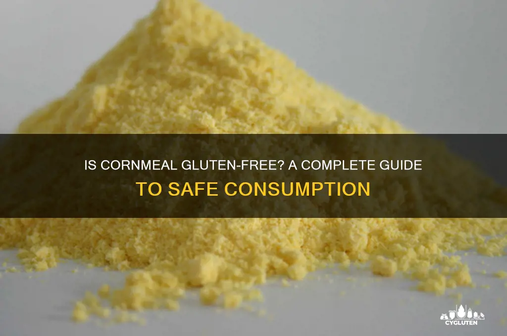 is corn meal gluten free