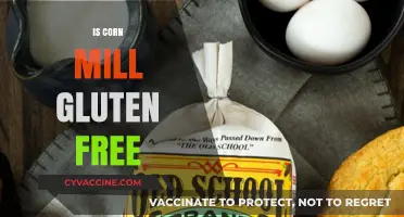Exploring Gluten-Free Options: The Truth About Corn Mills