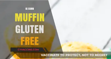 Exploring Gluten-Free Options: Are Corn Muffins a Safe Choice?