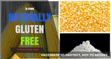Exploring the Truth: Is Corn Naturally Gluten-Free?