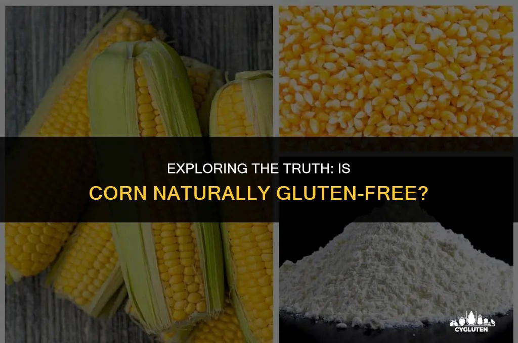is corn naturally gluten free