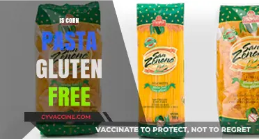 Exploring Gluten-Free Options: Is Corn Pasta a Safe Choice?