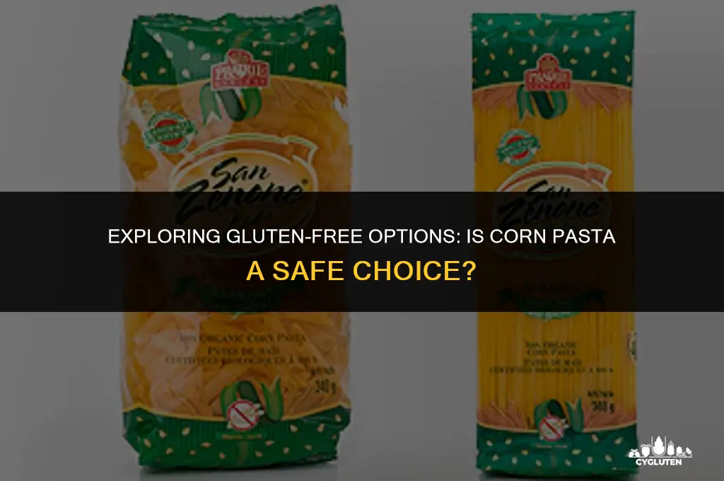is corn pasta gluten free