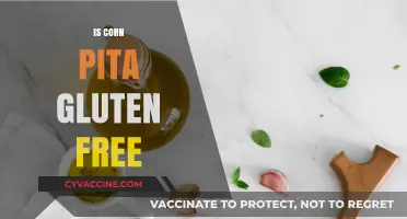Exploring Gluten-Free Options: Is Corn Pita Bread Safe for Celiacs?