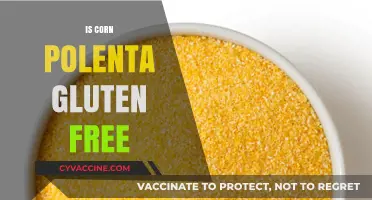 Exploring Gluten-Free Diets: Is Corn Polenta a Safe Choice?