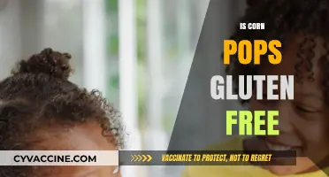 Is Corn Pops Gluten-Free? A Complete Guide to Your Breakfast Choice
