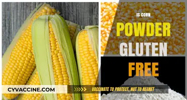 Exploring Gluten-Free Options: Is Corn Powder a Safe Choice?