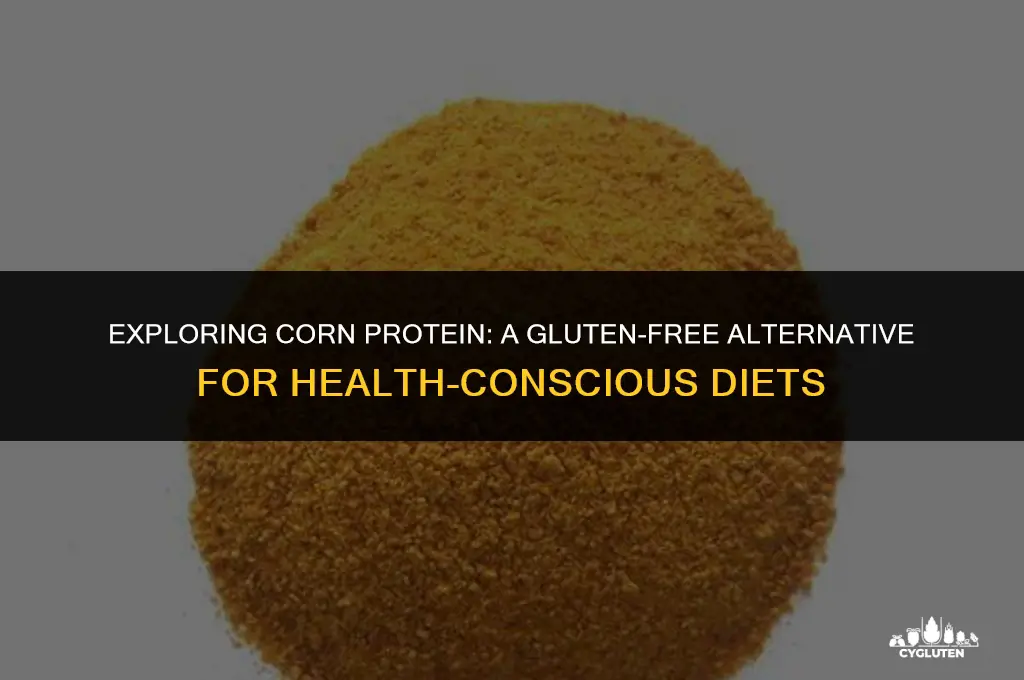 is corn protein gluten free