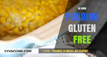 Deliciously Safe: Exploring the Gluten-Free Status of Corn Pudding
