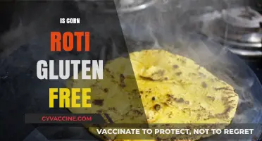 Exploring Gluten-Free Diets: Is Corn Roti a Safe Choice?