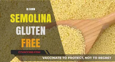 Exploring Gluten-Free Diets: Is Corn Semolina a Safe Choice?