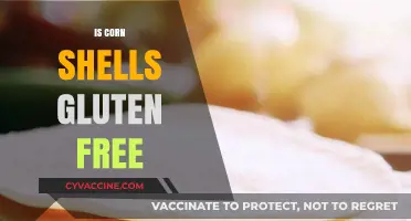 Exploring Gluten-Free Diets: Are Corn Shells a Safe Choice?