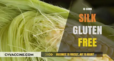 Exploring the Gluten-Free Status of Corn Silk: A Comprehensive Guide