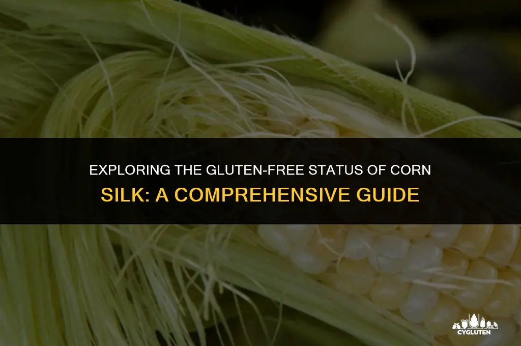 is corn silk gluten free