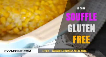 Deliciously Gluten-Free: Exploring the World of Corn Soufflés