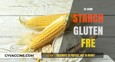 Exploring the Gluten-Free Status of Cornstarch: Facts and Myths
