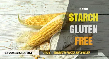 Is Corn Starch Gluten-Free? A Clear Guide for Celiac Diets