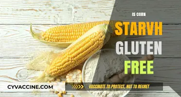Exploring Gluten-Free Options: Is Corn Starch a Safe Choice?