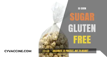 Exploring the Gluten-Free Status of Corn Sugar: Facts and Myths