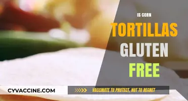 Are Corn Tortillas Gluten-Free? A Complete Guide for Celiacs