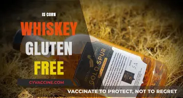 Sipping Safely: Exploring the Gluten-Free Status of Corn Whiskey