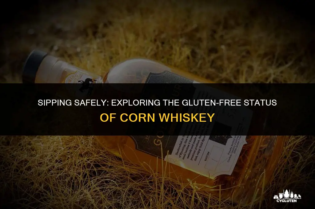 is corn whiskey gluten free