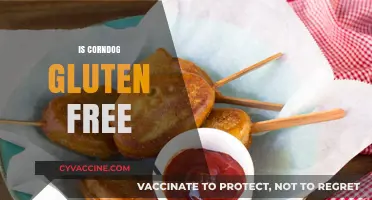 Are Corndogs Gluten-Free? A Complete Guide to Enjoying Safely